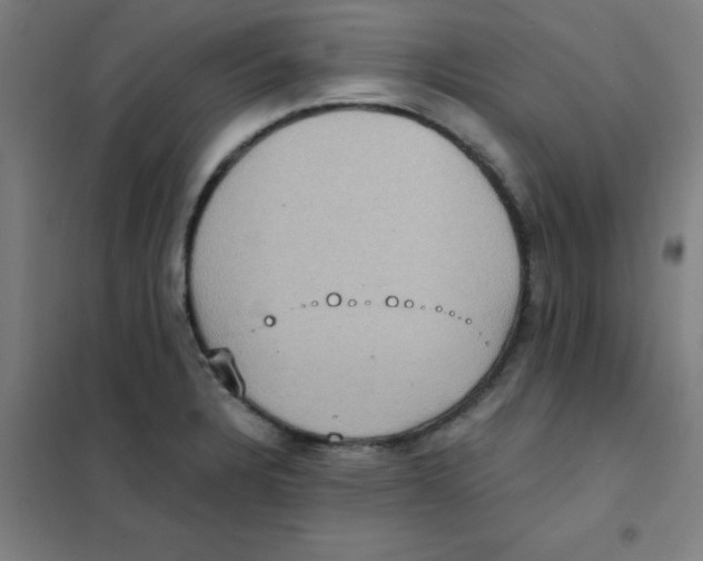 X0000101431328200808041143