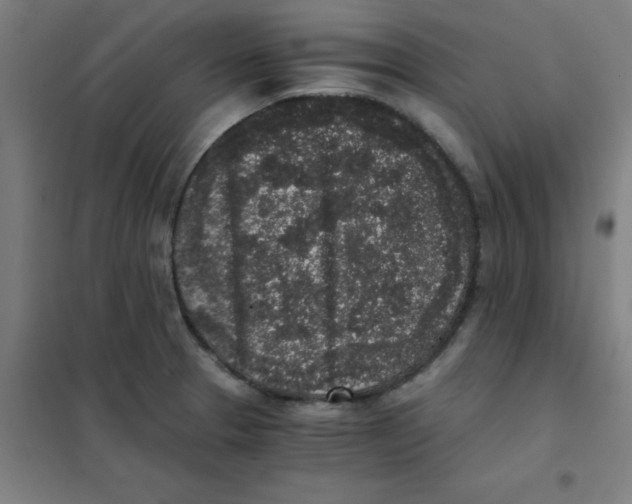 X0000101431329200808041143