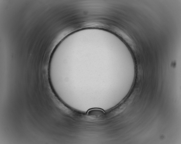 X0000101431330200808041143