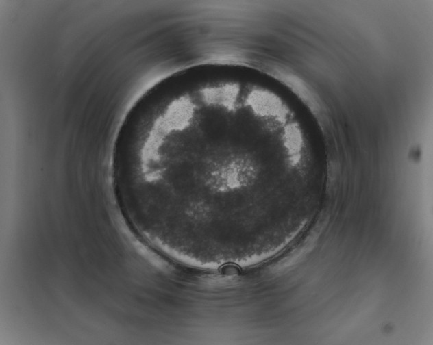 X0000101431331200808041143