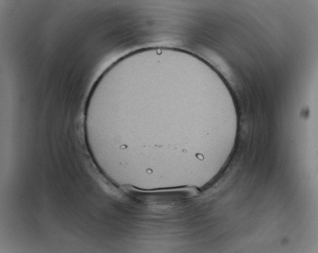 X0000101431332200808041143