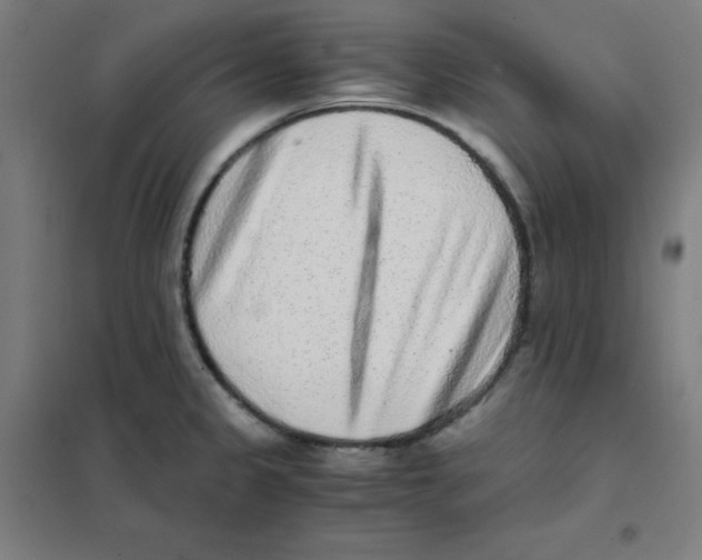 X0000101431333200808041143