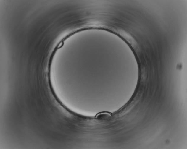 X0000101431334200808041143