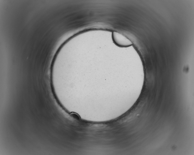 X0000101431335200808041143