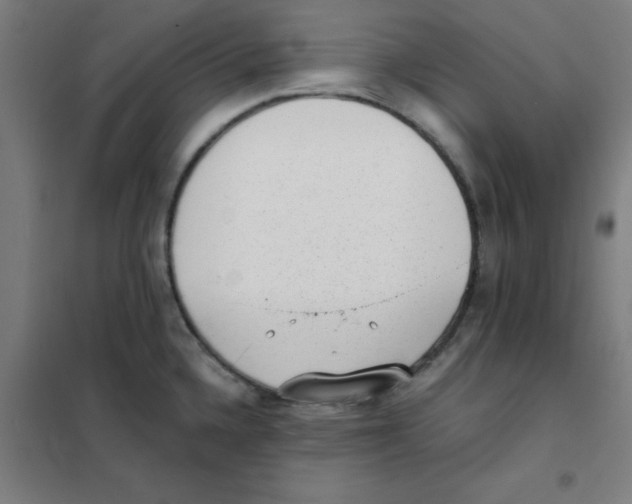 X0000101431336200808041143