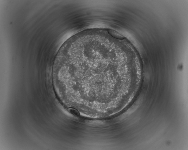 X0000101431337200808041143