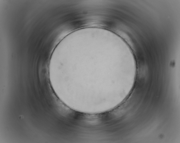 X0000101431338200808041143