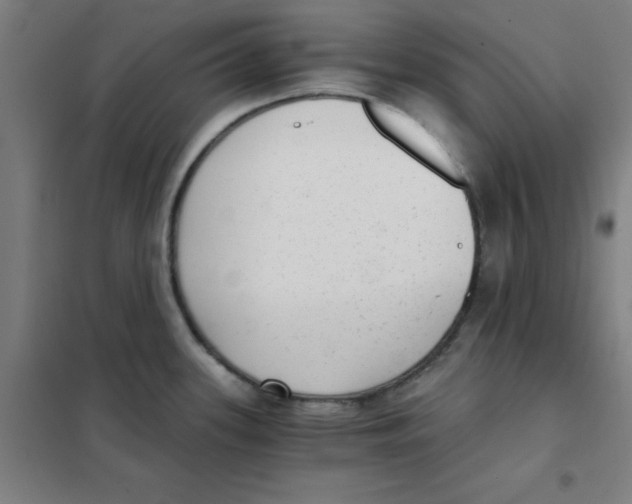 X0000101431339200808041143