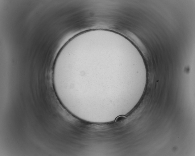 X0000101431340200808041143