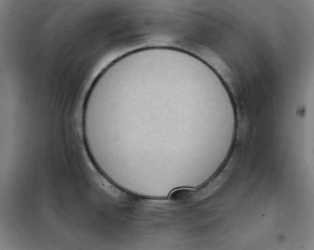 X0000101431342200808041143