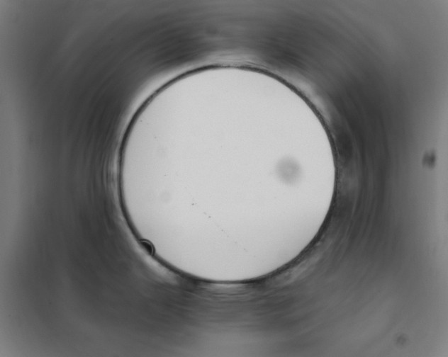 X0000101431343200808041143