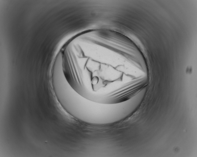 X0000101431344200808041143