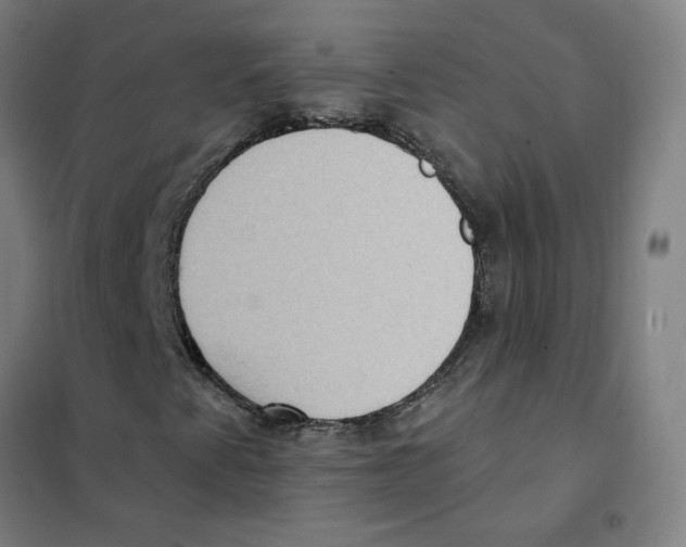 X0000101431345200808041142