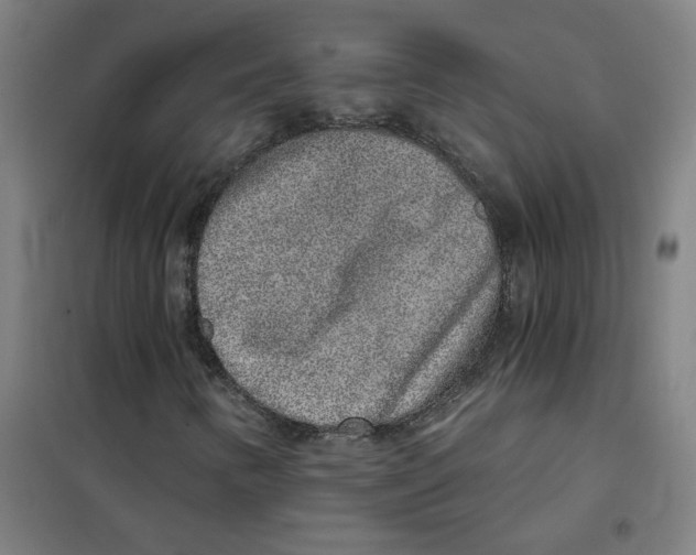 X0000101431346200808041142