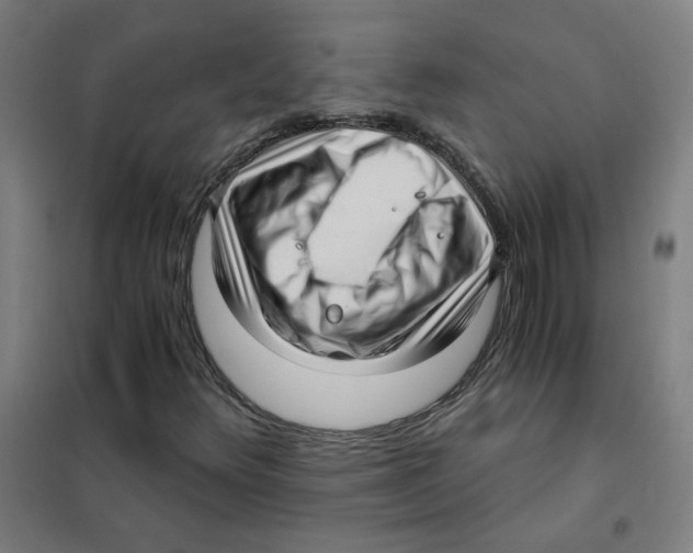 X0000101431348200808041142