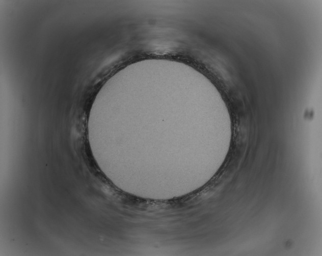 X0000101431349200808041142