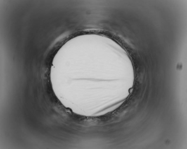 X0000101431351200808041142