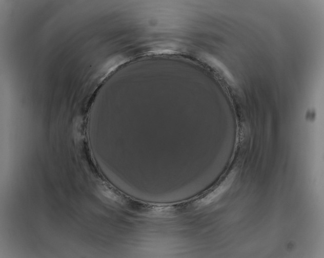 X0000101431353200808041142