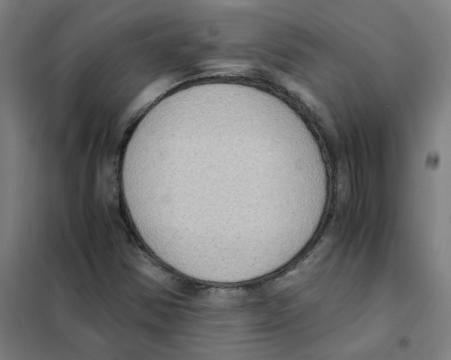 X0000101431354200808041142