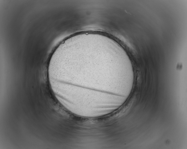 X0000101431358200808041142