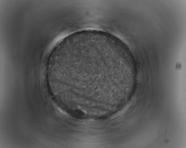 X0000101431359200808041142