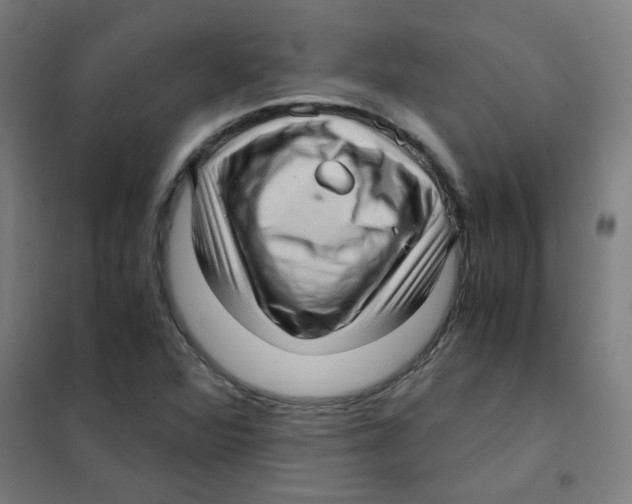 X0000101431360200808041142