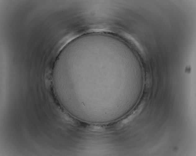 X0000101431361200808041142