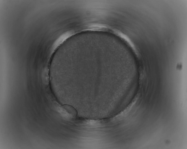 X0000101431362200808041142