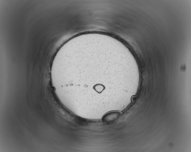 X0000101431363200808041142