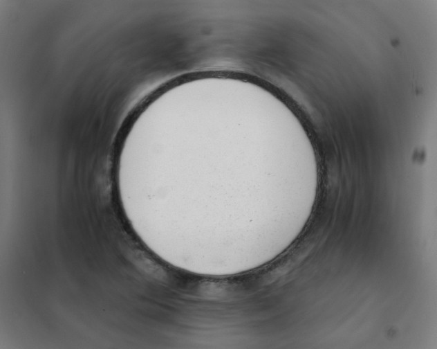 X0000101431364200808041142