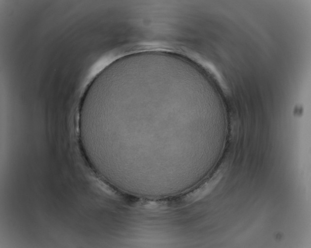 X0000101431365200808041142