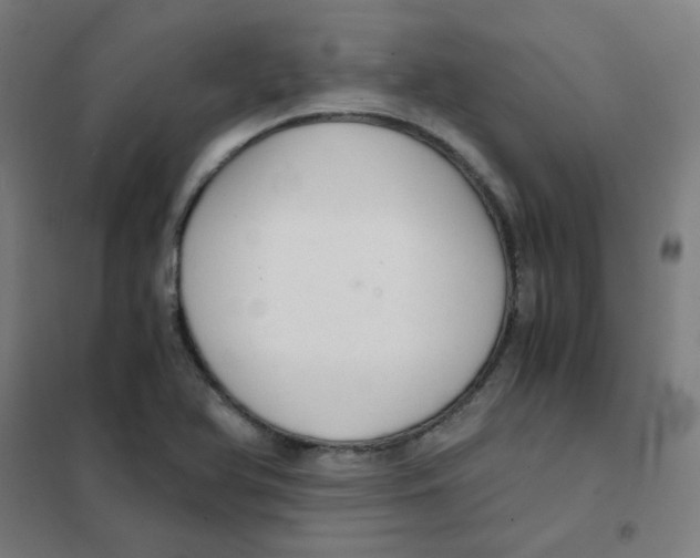 X0000101431366200808041142