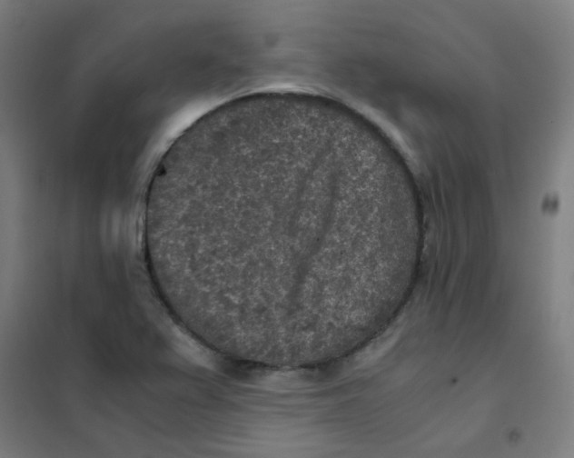 X0000101431367200808041142