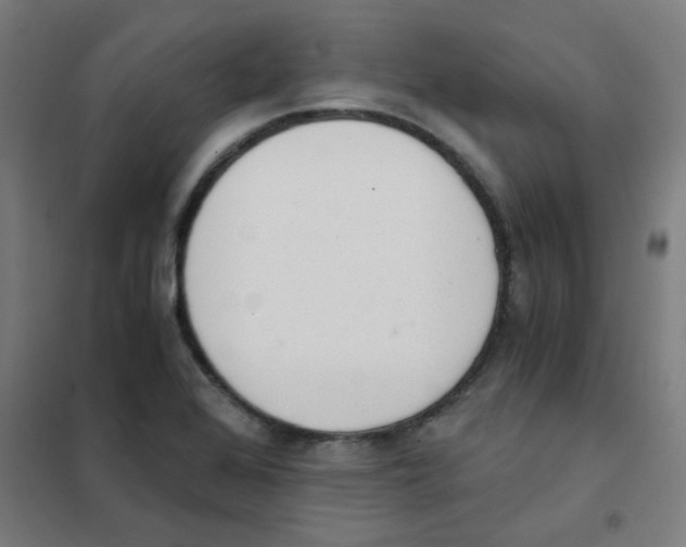 X0000101431368200808041142