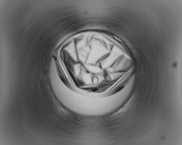 X0000101431369200808041142