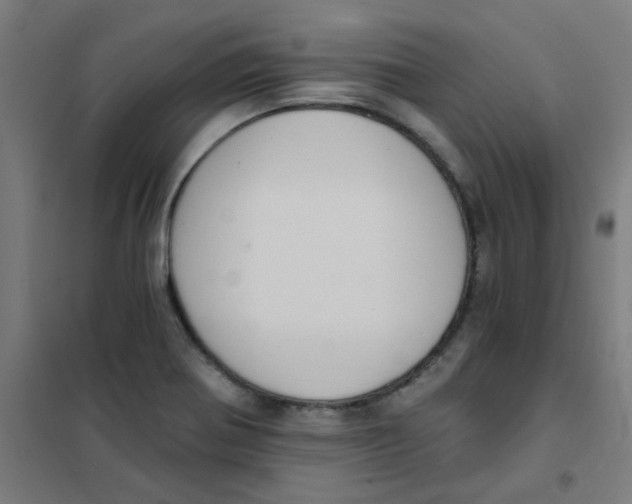 X0000101431370200808041142