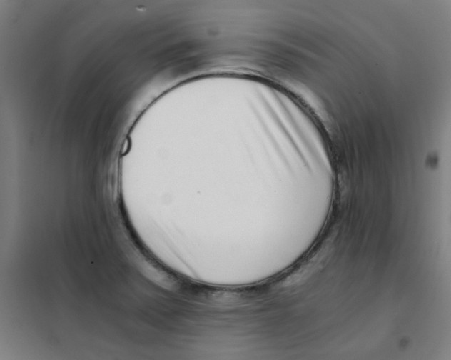 X0000101431371200808041142