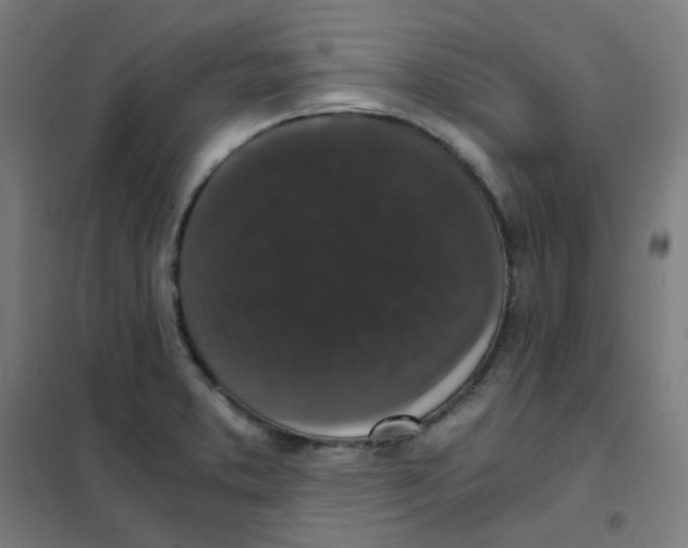 X0000101431373200808041142