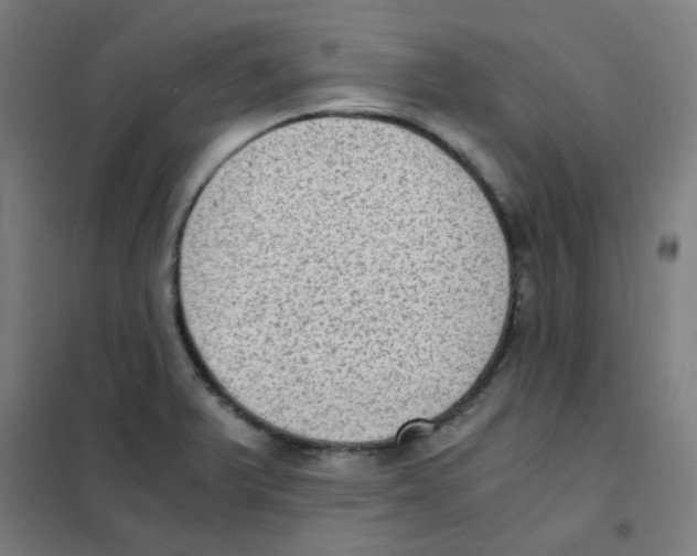 X0000101431375200808041142