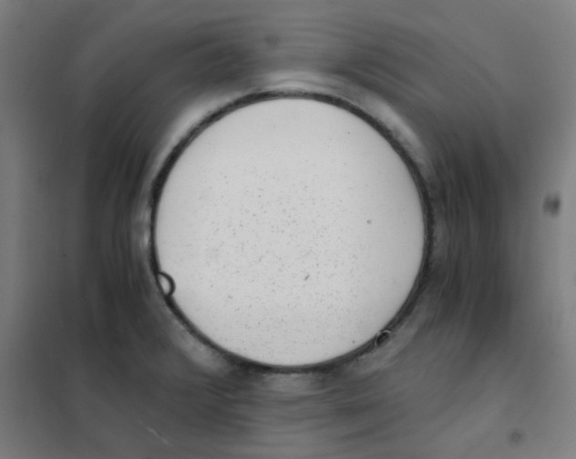 X0000101431376200808041142