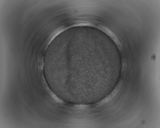 X0000101431377200808041142