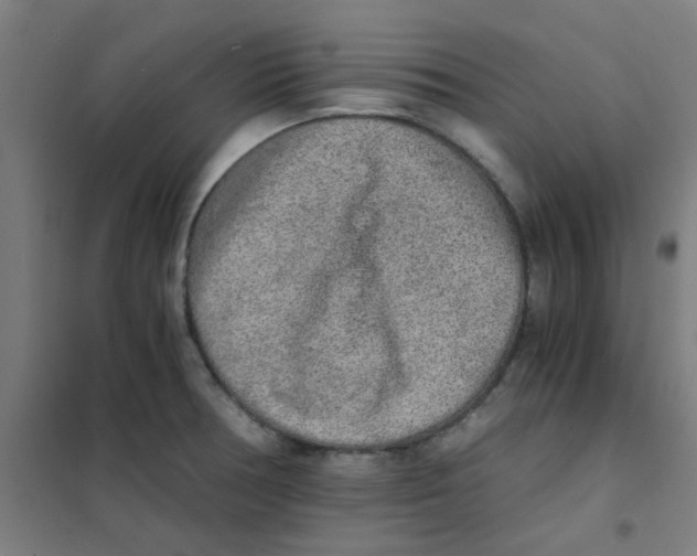 X0000101431378200808041141