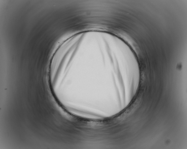 X0000101431379200808041141