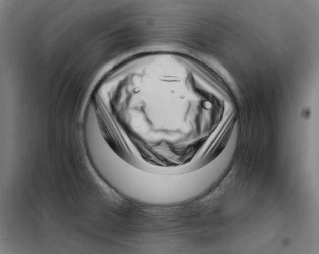 X0000101431380200808041141