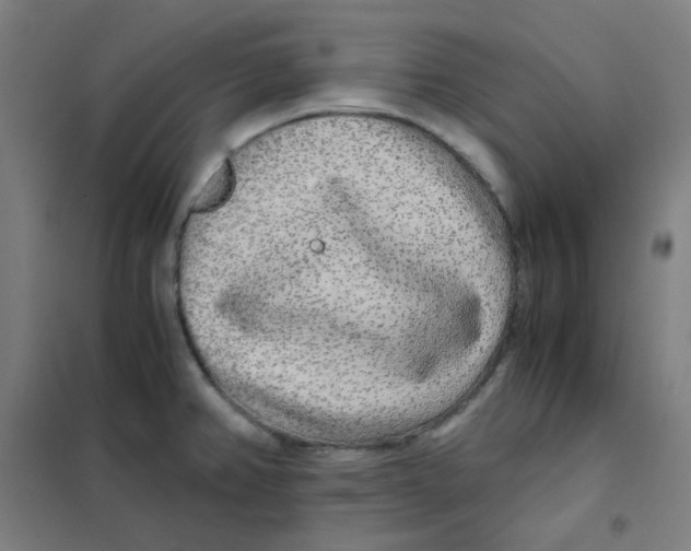 X0000101431382200808041141