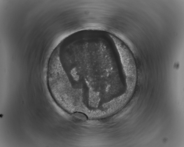 X0000101431383200808041141