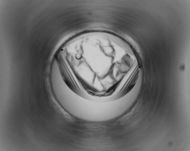 X0000101431384200808041141