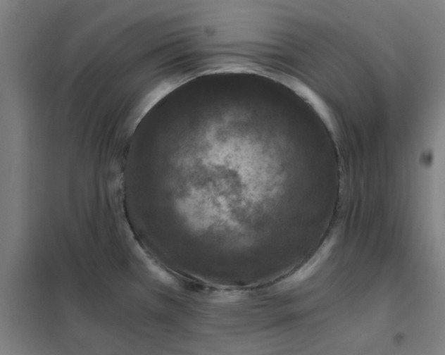 X0000101431385200808041141