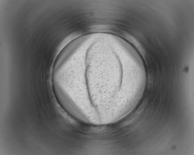 X0000101431386200808041141