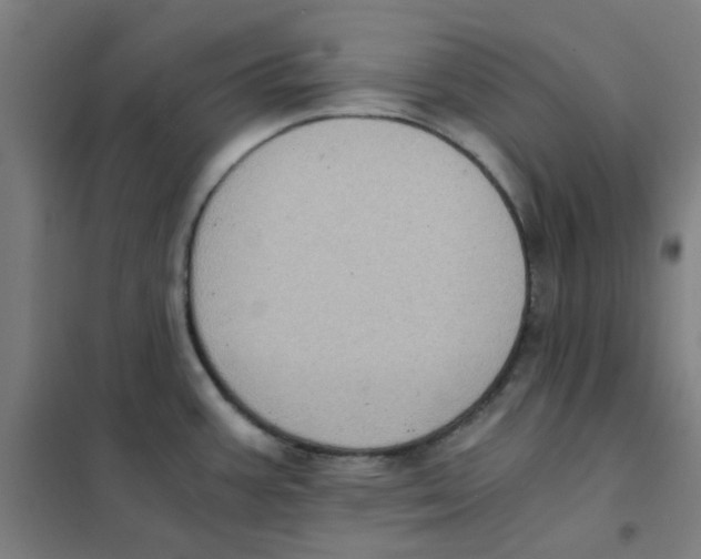 X0000101431387200808041141